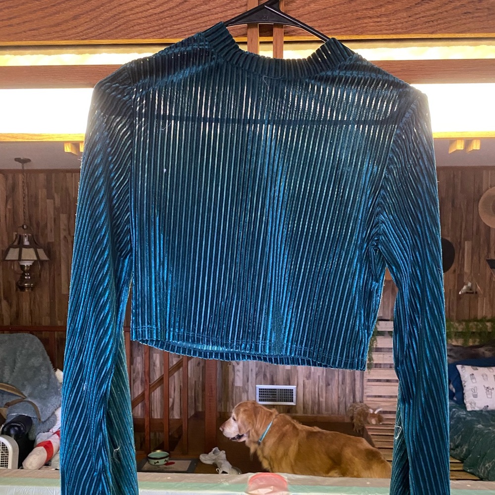 Cute velvet top